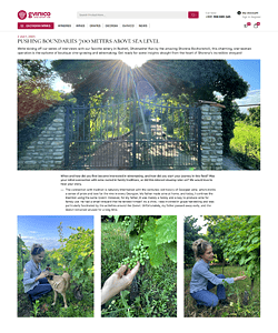 Winery Interview page #2