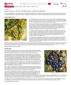 Article page #3